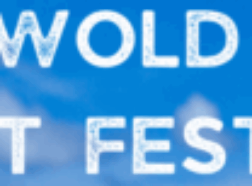 SAF logo