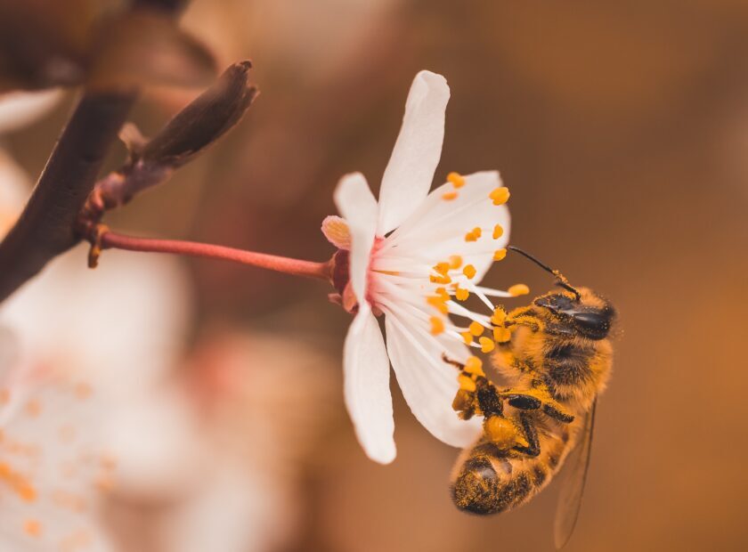 andy-holmes-7G9O1Fxja2A-unsplash