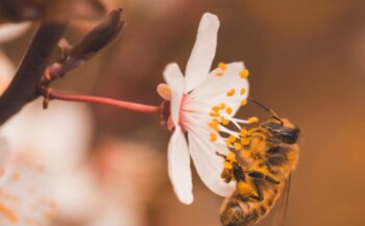 andy-holmes-7G9O1Fxja2A-unsplash