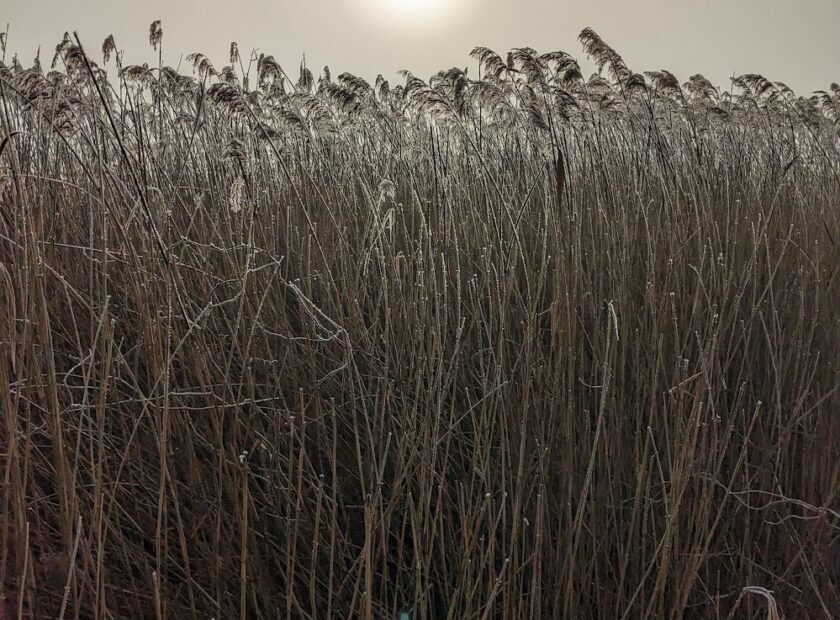 PXL_20230208_095227448