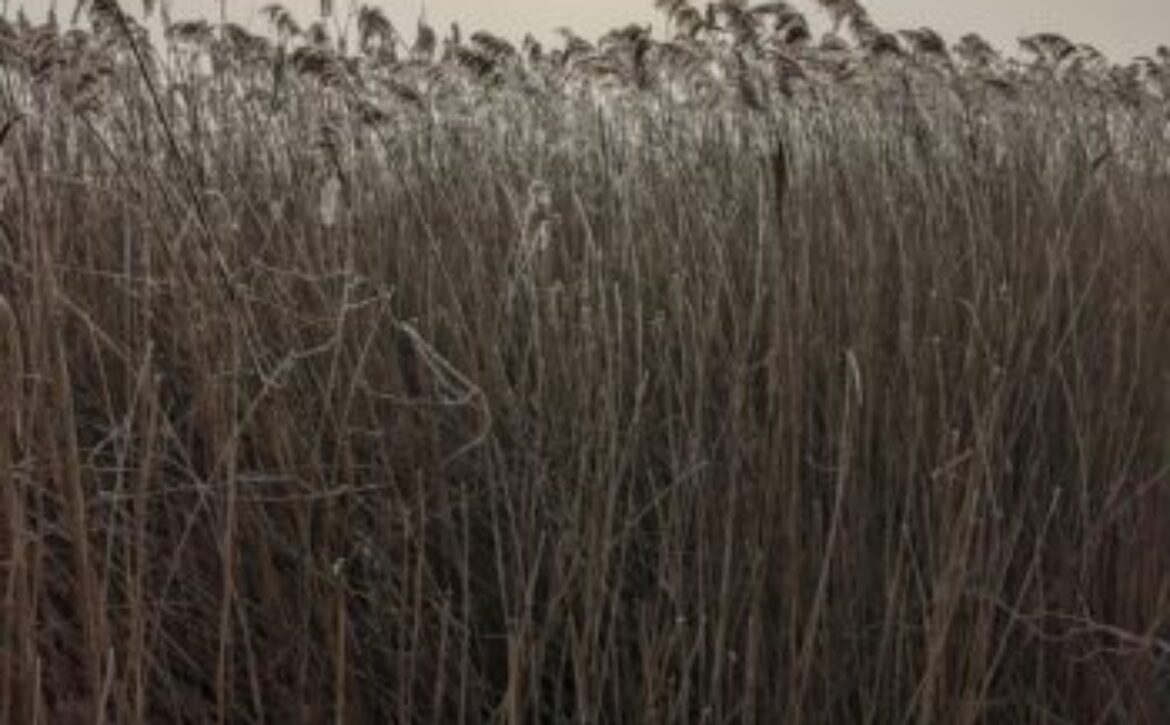 PXL_20230208_095227448